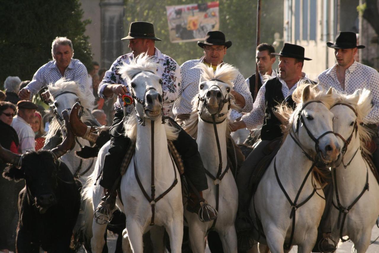 Gite De Vacances En Camargue ☆☆Nn ヴォヴェール エクステリア 写真